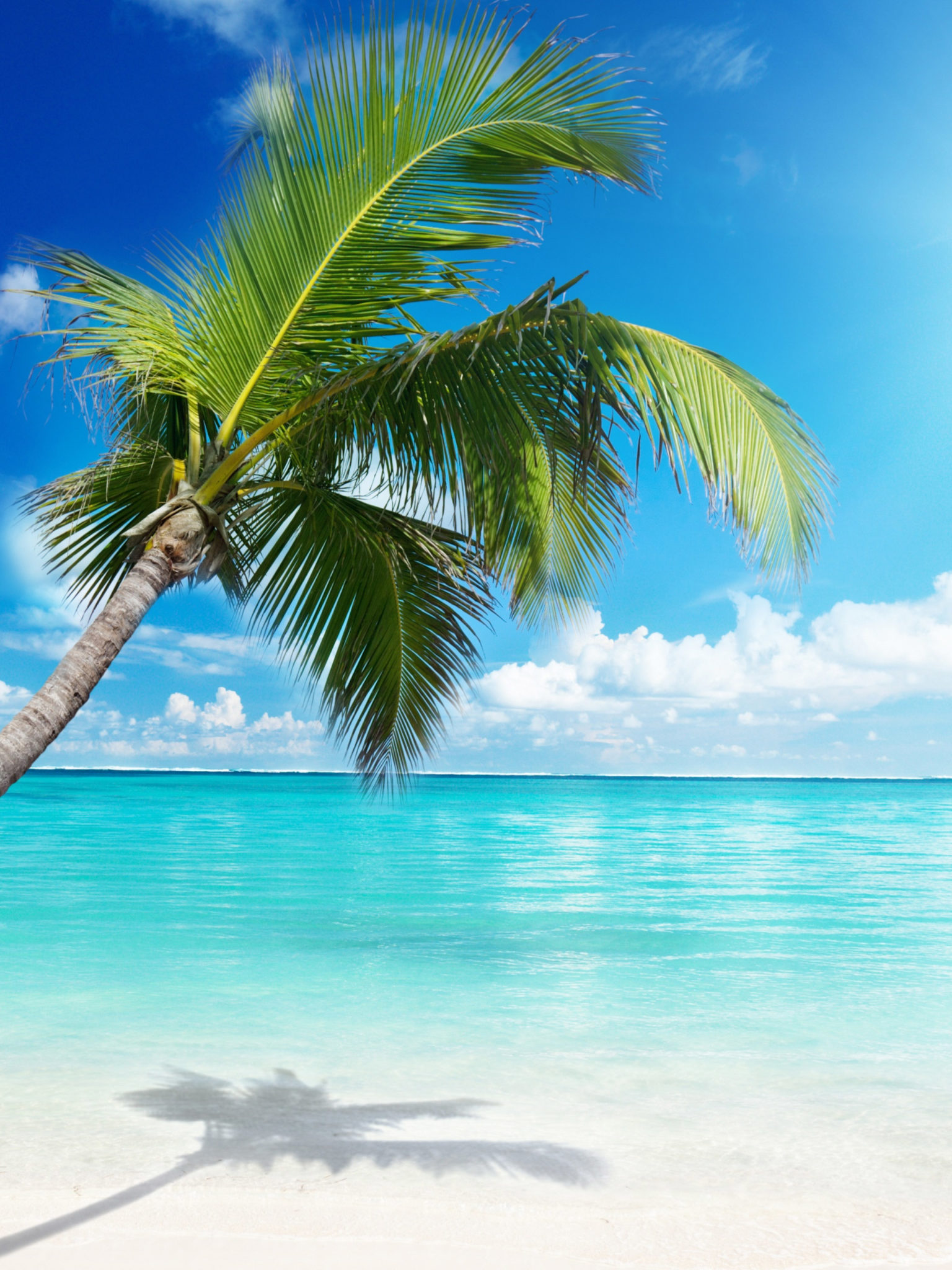 The Beach Amazing Nature Wallpaper Photos – HD Wallpapers Backgrounds Desktop, iphone & Android Free Download
